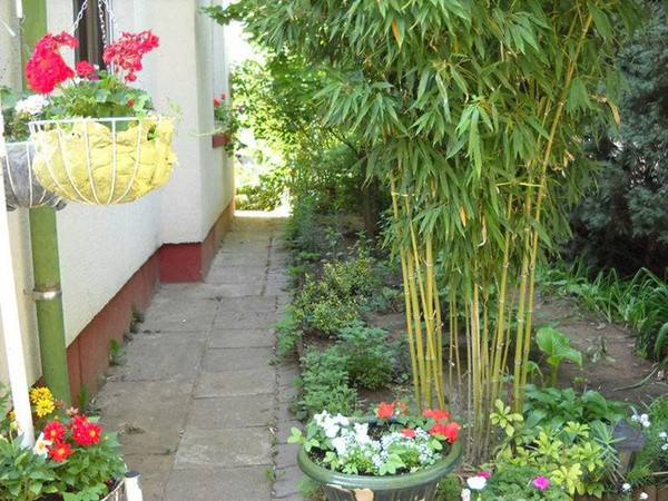 hóa giải mộ trước nhà