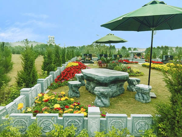Hoa trồng ở mộ