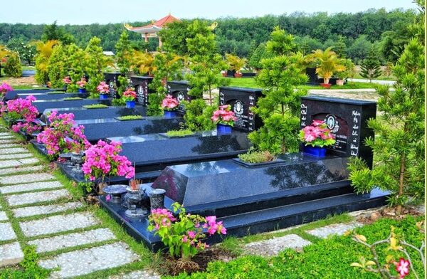 Hoa trồng ở mộ