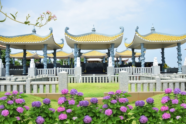 Hoa trồng ở mộ