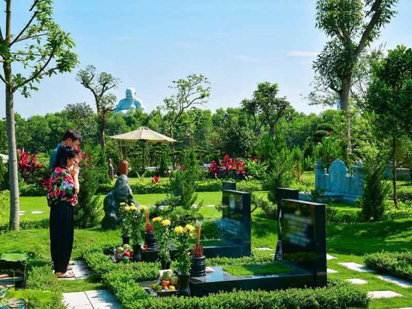 Hoa trồng ở mộ
